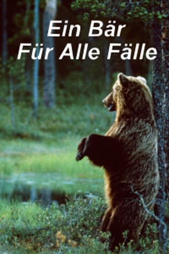 Ein Bär für alle Fälle Poster of Ein Bär für alle Fälle