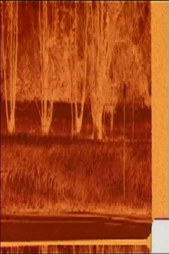 Fields Of Grain Poster of Fields Of Grain