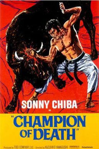 Karate Bullfighter Poster of Karate Bullfighter