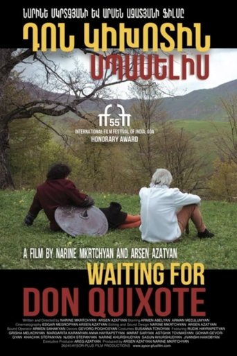 Waiting For Don Quixote Poster of Waiting For Don Quixote
