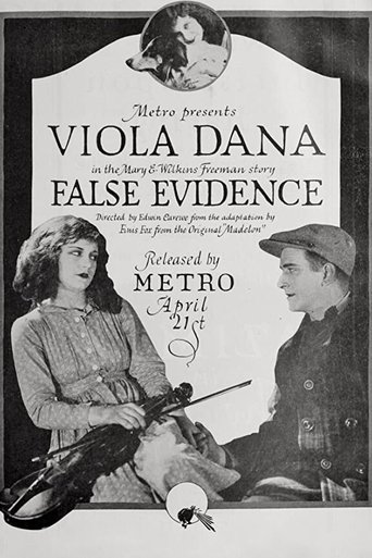 False Evidence Poster of False Evidence