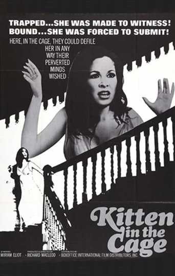 Kitten in a Cage Poster of Kitten in a Cage