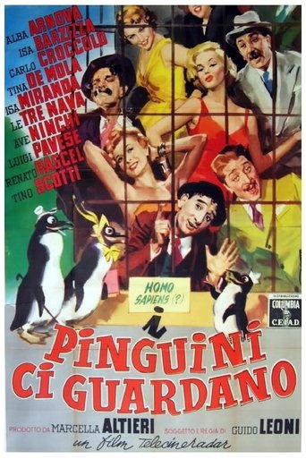 I pinguini ci guardano Poster of I pinguini ci guardano