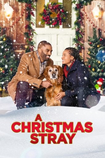 A Christmas Stray Poster of A Christmas Stray