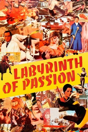 Labyrinth of Passion Poster of Labyrinth of Passion