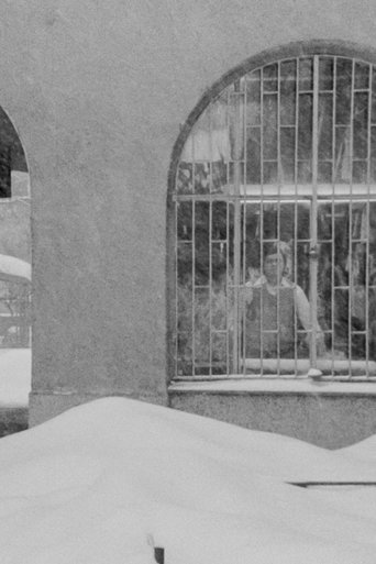 Window to the Yard Poster of Window to the Yard
