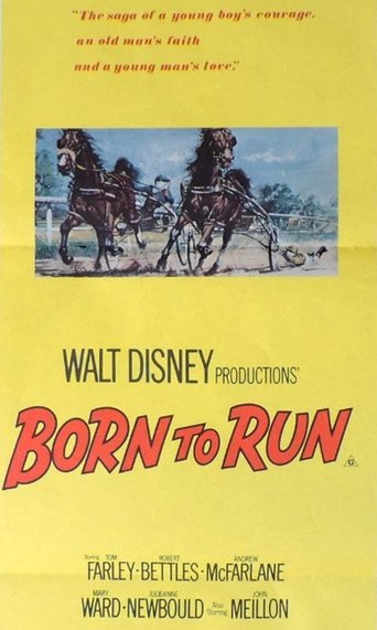Born to Run Poster of Born to Run