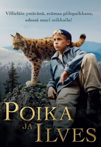 Tommy and the Wildcat Poster of Tommy and the Wildcat