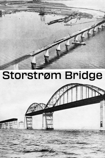 Storstrøm Bridge Poster of Storstrøm Bridge
