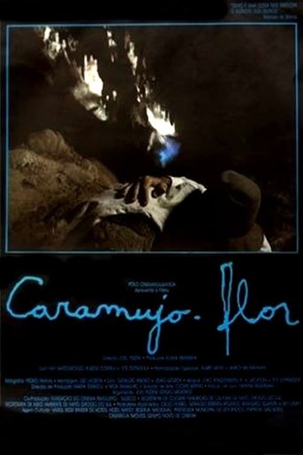 Caramujo-Flor Poster of Caramujo-Flor