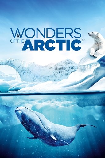 Wonders of the Arctic Poster of Wonders of the Arctic