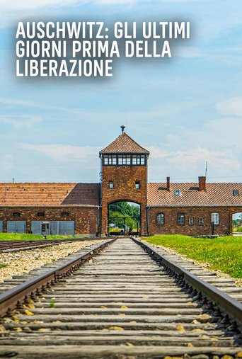 Auschwitz: Countdown to Liberation Poster of Auschwitz: Countdown to Liberation