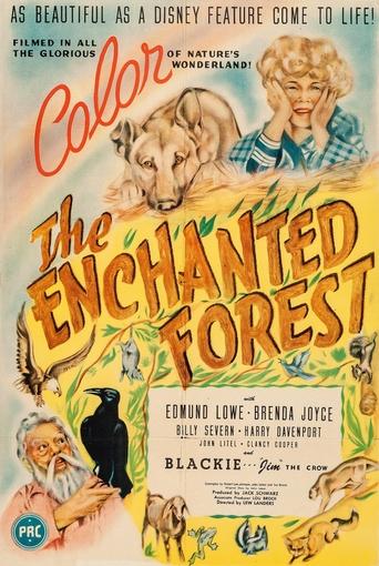 The Enchanted Forest Poster of The Enchanted Forest