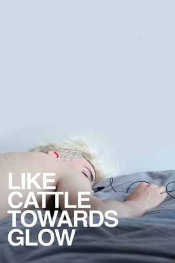 Like Cattle Towards Glow Poster of Like Cattle Towards Glow