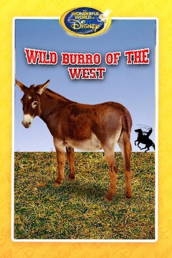 Wild Burro of the West Poster of Wild Burro of the West