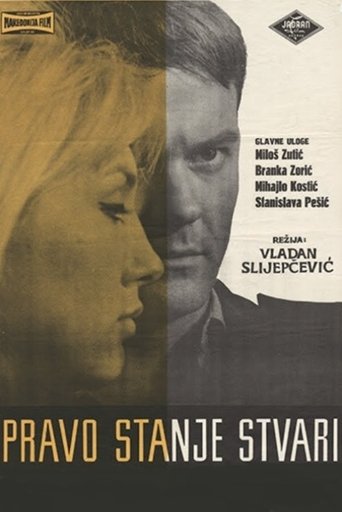 The Real State of Affairs Poster of The Real State of Affairs