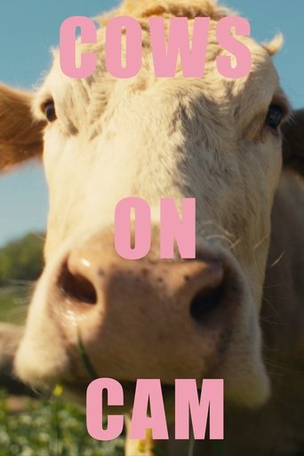 COWS ON CAM Poster of COWS ON CAM