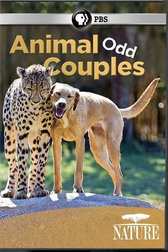 Animal Odd Couples Poster of Animal Odd Couples