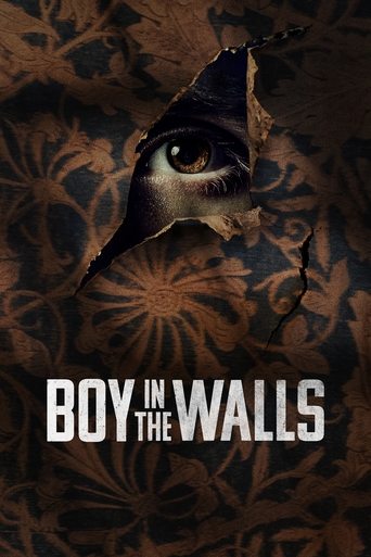 Boy in the Walls Poster of Boy in the Walls