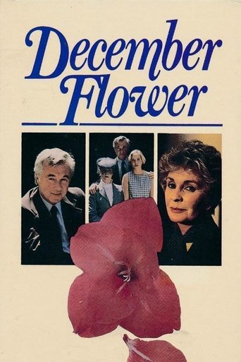 December Flower Poster of December Flower