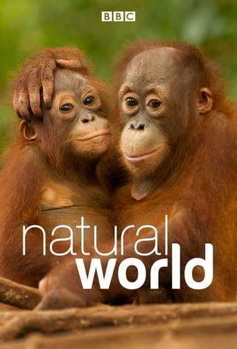 Natural World Poster of Natural World