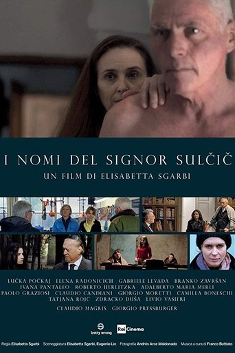 The Names of Mr. Sulcic Poster of The Names of Mr. Sulcic
