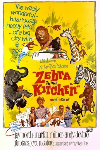 Zebra in the Kitchen Poster of Zebra in the Kitchen