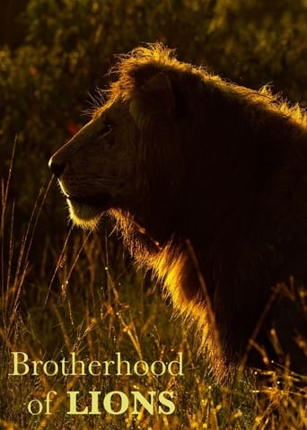 Brotherhood of Lions Poster of Brotherhood of Lions