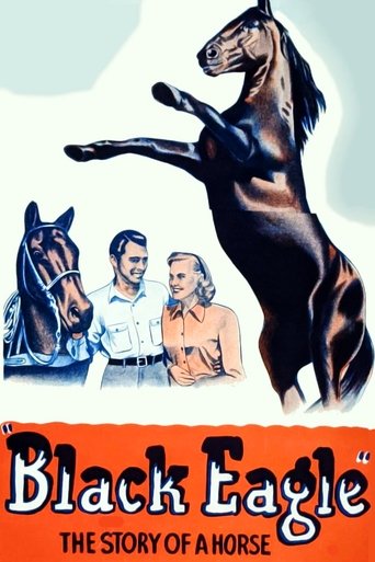 Black Eagle Poster of Black Eagle