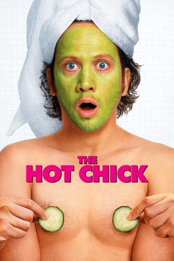 The Hot Chick Poster of The Hot Chick