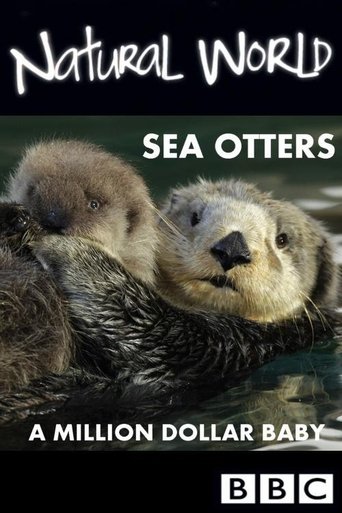 Sea Otters: A Million Dollar Baby Poster of Sea Otters: A Million Dollar Baby