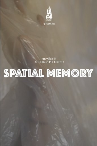 Spatial Memory Poster of Spatial Memory