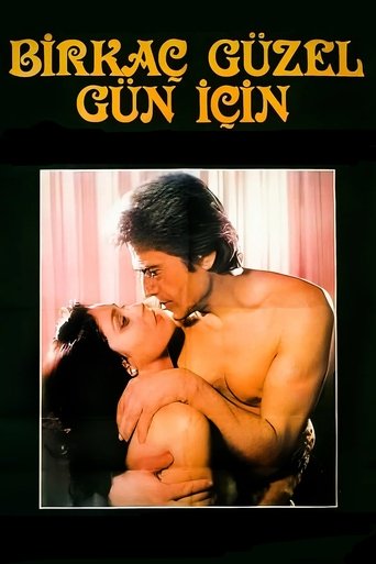 Birkaç Güzel Gün İçin Poster of Birkaç Güzel Gün İçin