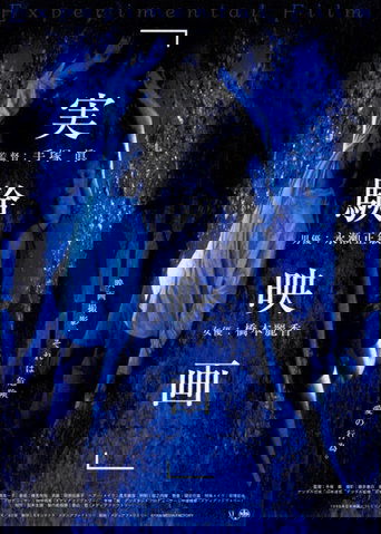 The Experimental Film Poster of The Experimental Film