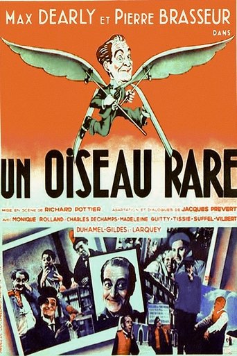 A Rare Bird Poster of A Rare Bird