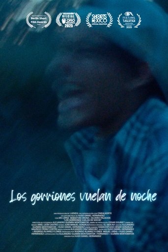 Los gorriones vuelan de noche Poster of Los gorriones vuelan de noche