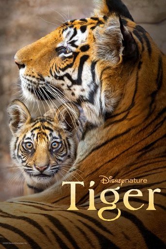Tiger Poster of Tiger