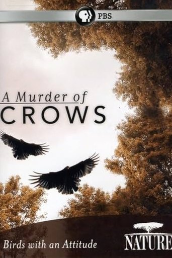 A Murder of Crows Poster of A Murder of Crows