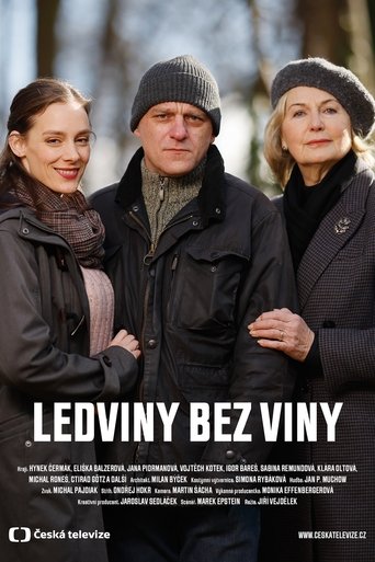 Ledviny bez viny Poster of Ledviny bez viny