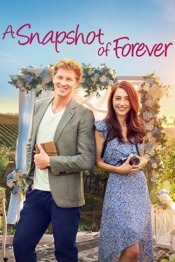 A Snapshot of Forever Poster of A Snapshot of Forever