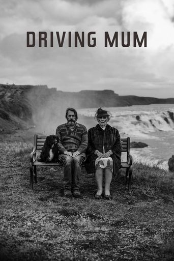 Driving Mum Poster of Driving Mum