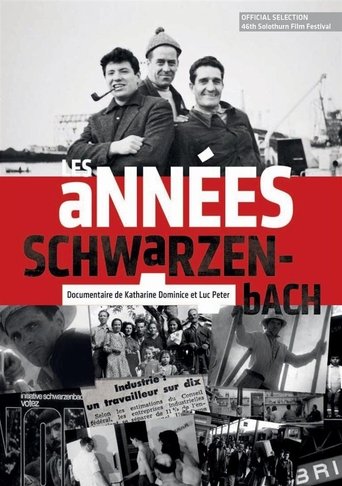 Les années Schwarzenbach Poster of Les années Schwarzenbach