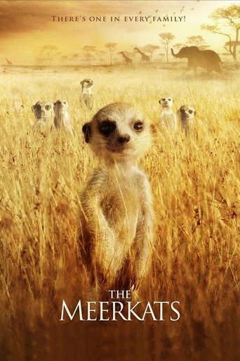 The Meerkats Poster of The Meerkats