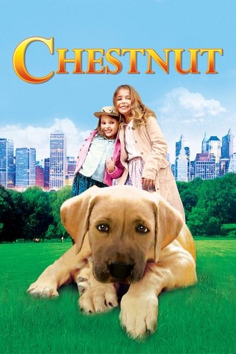 Chestnut: Hero of Central Park Poster of Chestnut: Hero of Central Park