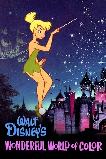 The Wonderful World of Disney Poster of The Wonderful World of Disney