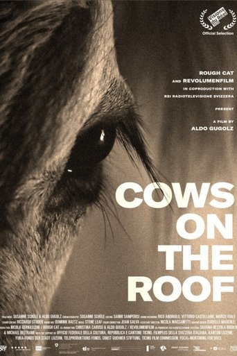 Cows on the Roof Poster of Cows on the Roof