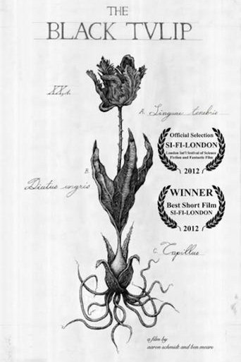 The Black Tulip Poster of The Black Tulip
