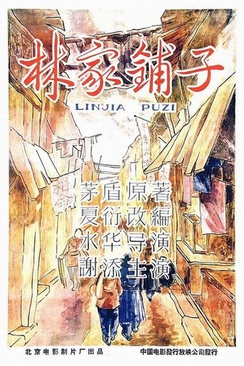 The Lin Family Shop Poster of The Lin Family Shop