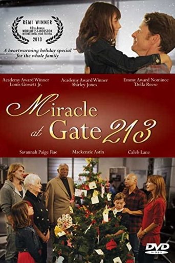 Miracle at Gate 213 Poster of Miracle at Gate 213