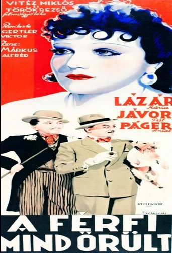 A férfi mind őrült Poster of A férfi mind őrült